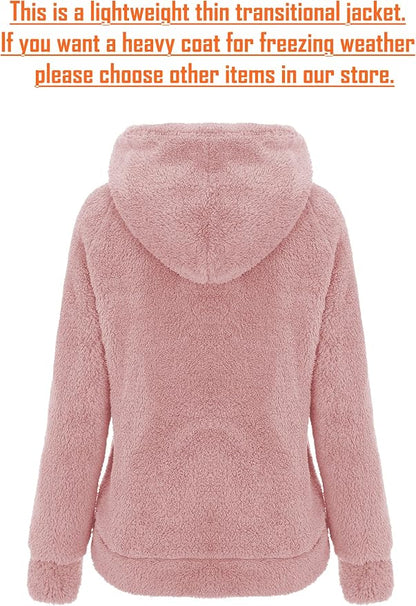 2026 Autumn and Winter Cross-Border Women's Hooded Zipper Teddy Fleece Sweatshirt Thickened Warm Plush Cardigan Jacket